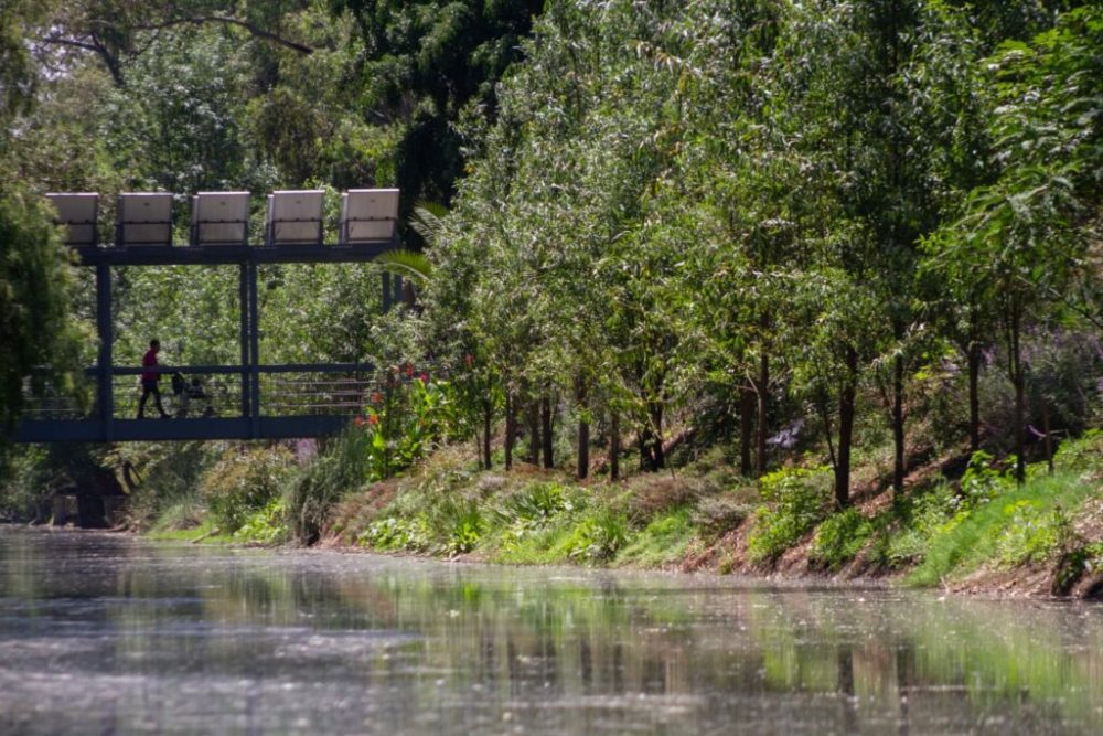 Parque Canal Nacional Se Convierte En Bosque Urbano Centro Urbano