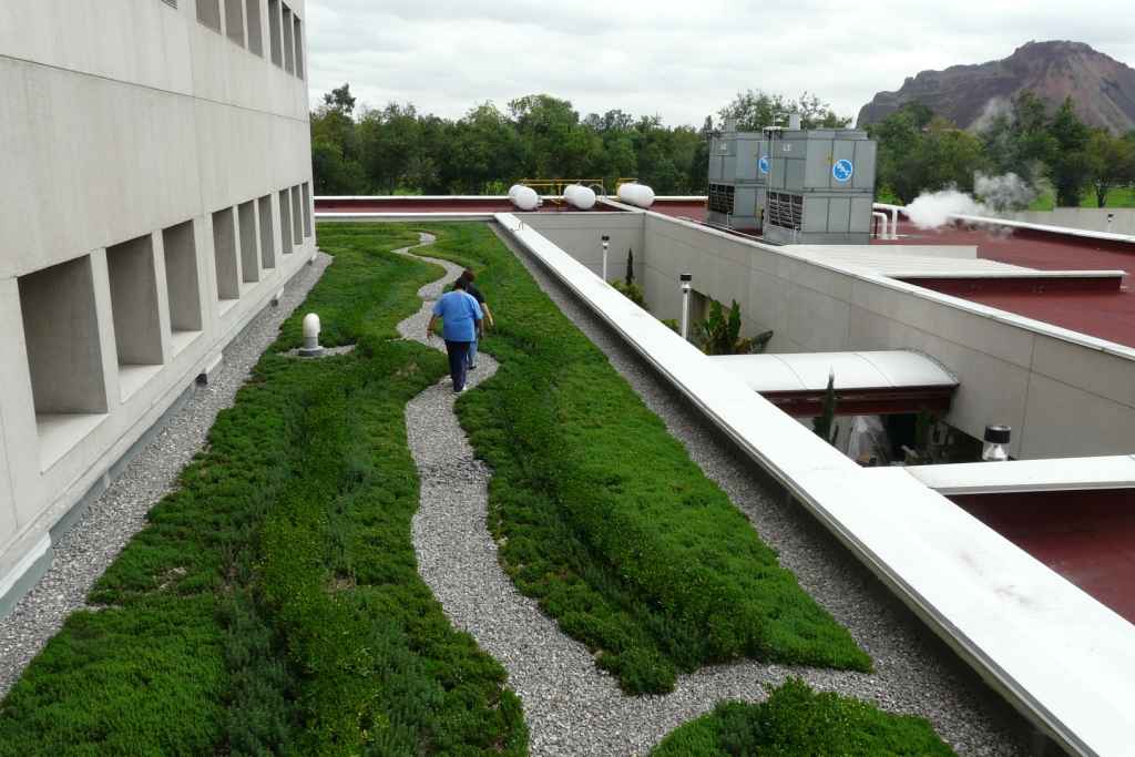 Instalan paneles solares y techos verdes en hospitales del GDF - 090615 SEDESA AZOTEA VERDE 1