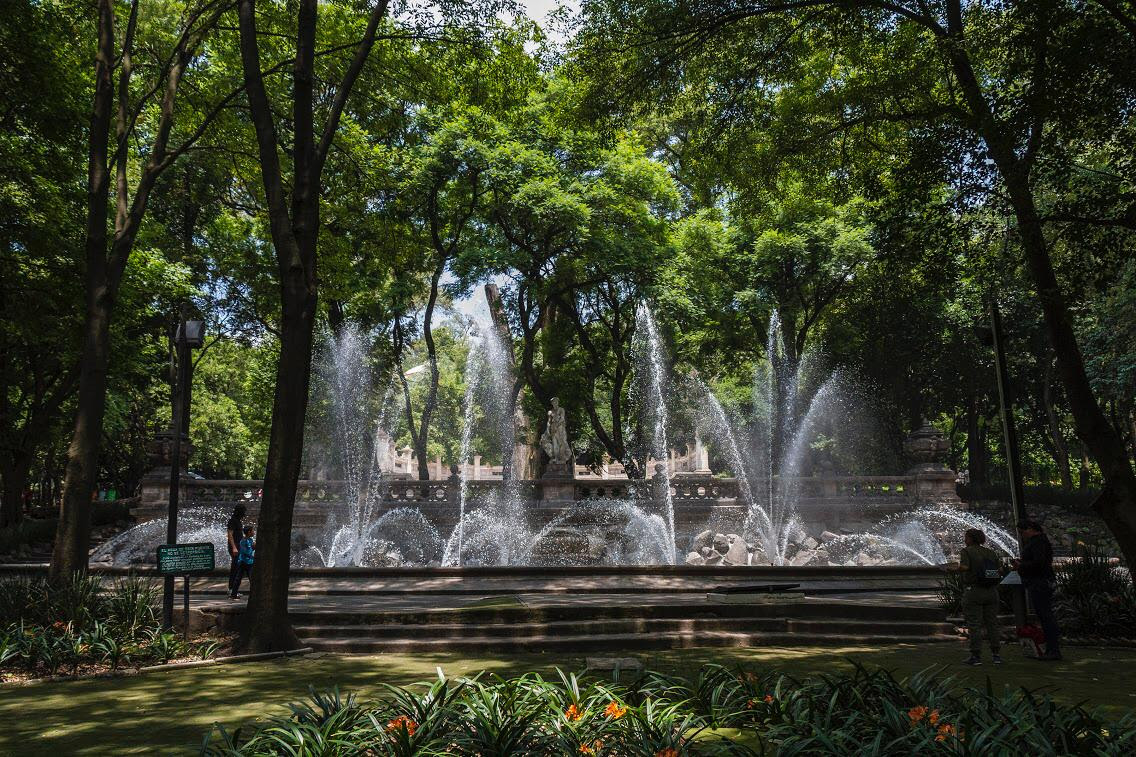 Reconocen al Bosque de Chapultepec como el mejor parque urbano del mundo - 5dadd3a431acb994604769