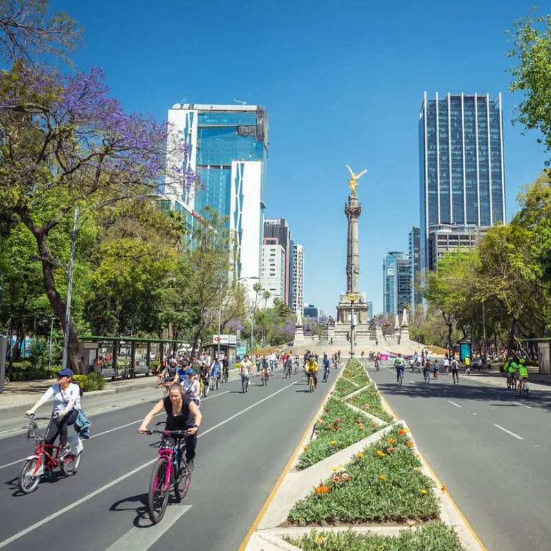 Trabajo remoto, nearshoring y turismo de experiencias impulsan un mercado activo más allá de temporadas vacacionales