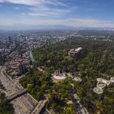 CDMX plantará 500,000 árboles en banquetas, camellones y espacios públicos, con prioridad en zonas con déficit de vegetación