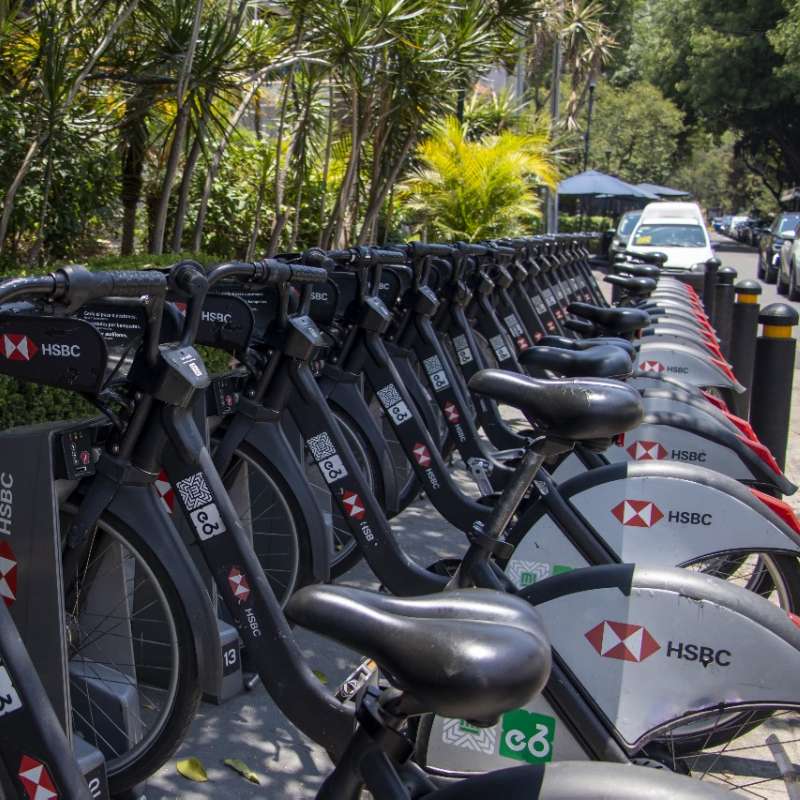 Ecobici alcanza 25,000 viajes al día en hora pico; ¿cuál es la ruta más concurrida?