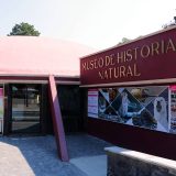Museo de Historia Natural se encuentra en la tercera fase de renovación