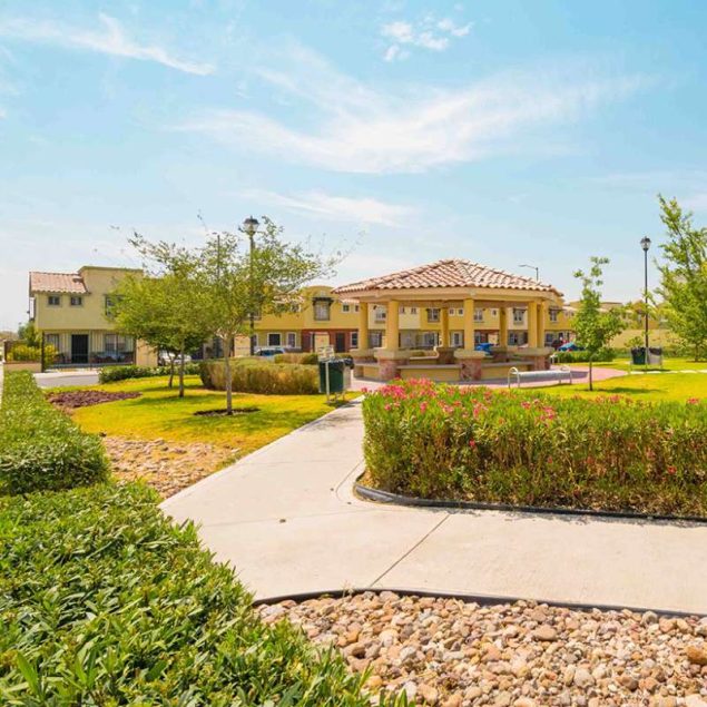 Sustentabilidad, uno de los ejes clave de Vinte