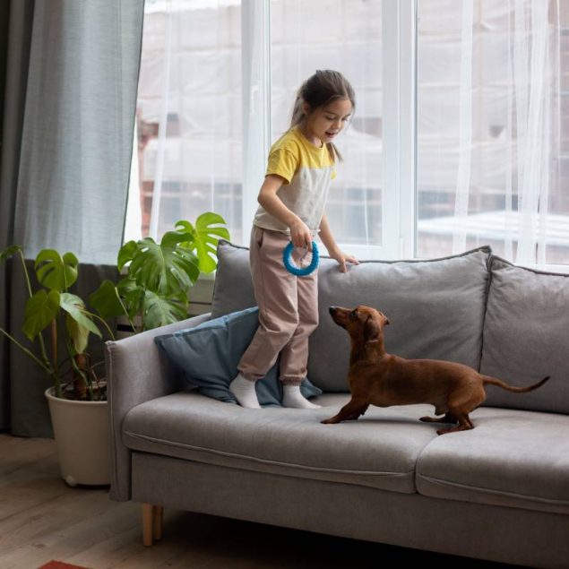 La reforma al artículo 4 de la Ley de Vivienda busca garantizar el acceso a rentas de una vivienda digna y sin discriminación