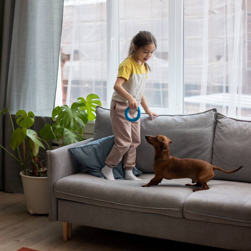 La reforma al artículo 4 de la Ley de Vivienda busca garantizar el acceso a rentas de una vivienda digna y sin discriminación