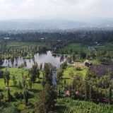 Altépetl Bienestar contribuyó a la restauración de más de 50,000 ha de Suelo de Conservación y beneficia a más de 14,000 productores
