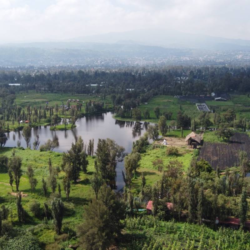 Altépetl Bienestar contribuyó a la restauración de más de 50,000 ha de Suelo de Conservación y beneficia a más de 14,000 productores