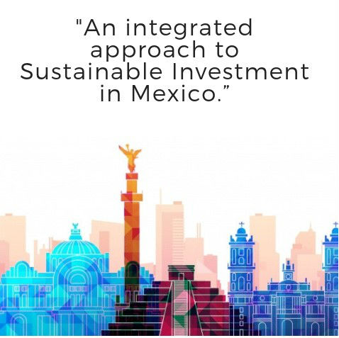 Discuten papel del gobierno mexicano en inversión sustentable