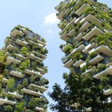 Arquitectura sostenible, clave para reducir el calor urbano: UNAM