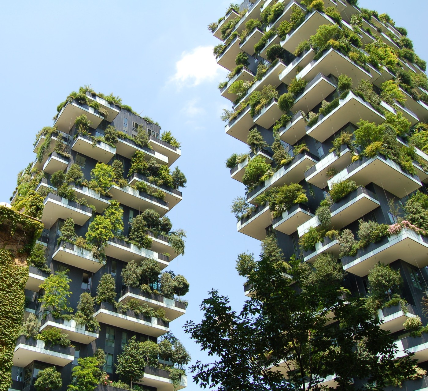 Arquitectura sostenible, clave para reducir el calor urbano: UNAM