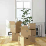 Solteros enfrentan altos costos para acceder a vivienda