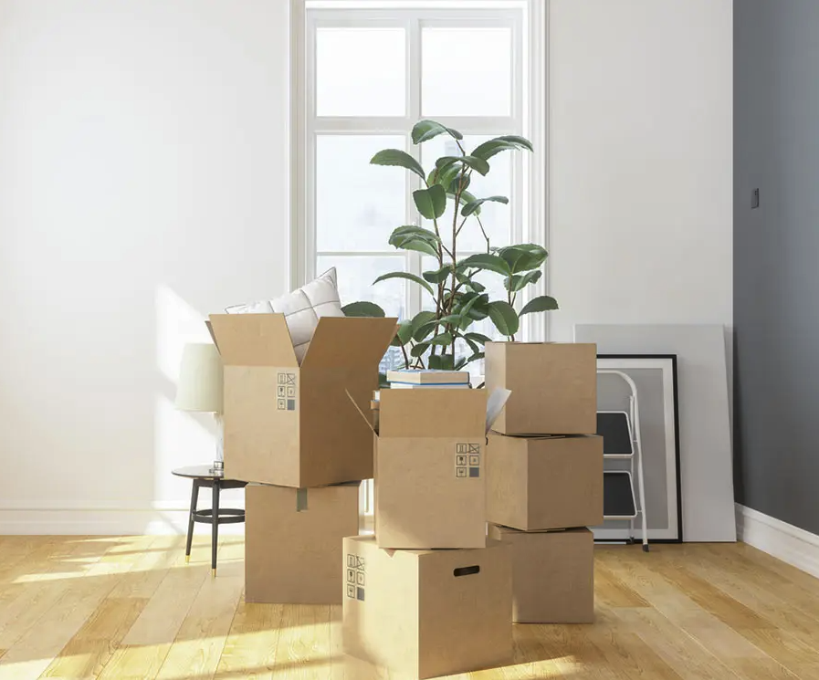 Solteros enfrentan altos costos para acceder a vivienda