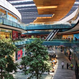 Cautela, la regla del juego en el retail: Danhos