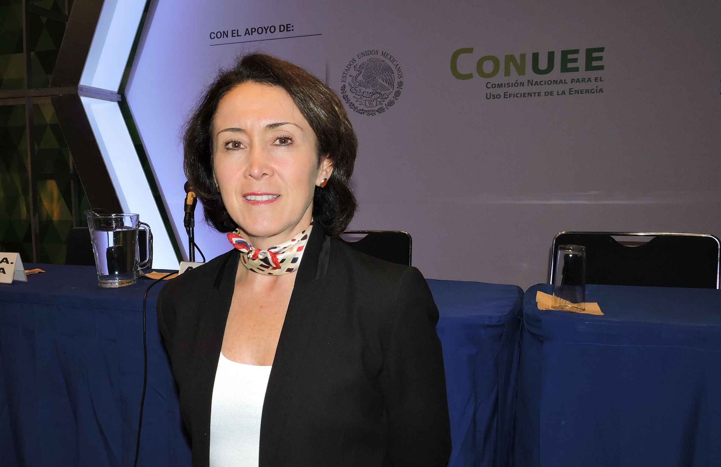 Parques Industriales Sustentables, nuevo reto - Claudia Avila Connelly AMPIPok