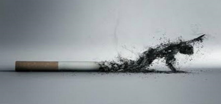 Consumo de tabaco, segunda causa de muerte mundial - DIA MUNDIAL DE TABACO1