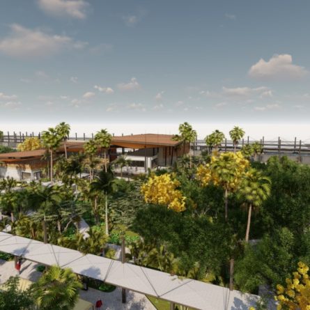 Suspenden obras del Tren Maya en Playa del Carmen - Centro Urbano