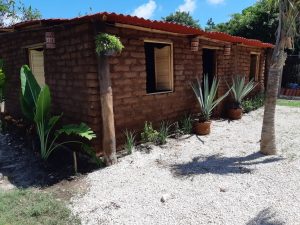 Fabrican viviendas con ladrillos de sargazo en Quintana Roo - Fabrican viviendas con ladrillos de sargazo en Quintana Roo
