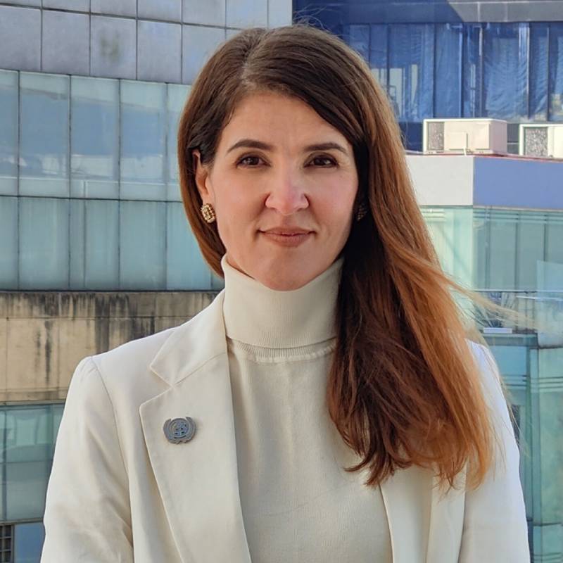 Fernanda Lonardoni señaló que la gentrificación, la movilidad y el déficit de vivienda son problemas estructurales derivados de la falta de planeación urbana