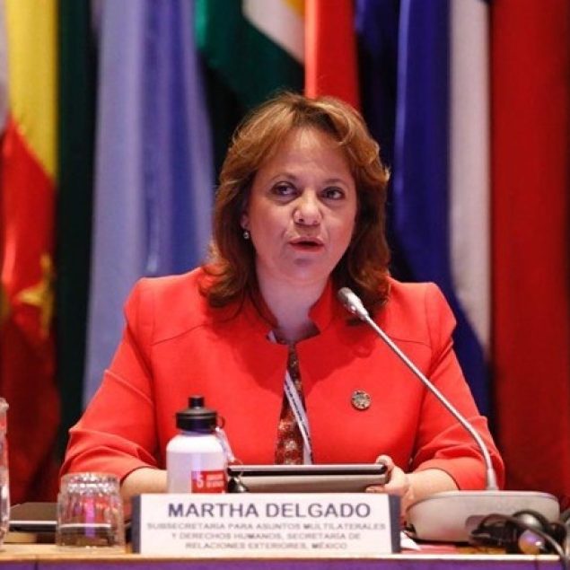Fundamental avanzar en la agenda climática: Martha Delgado