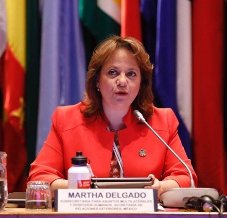 Fundamental avanzar en la agenda climática: Martha Delgado