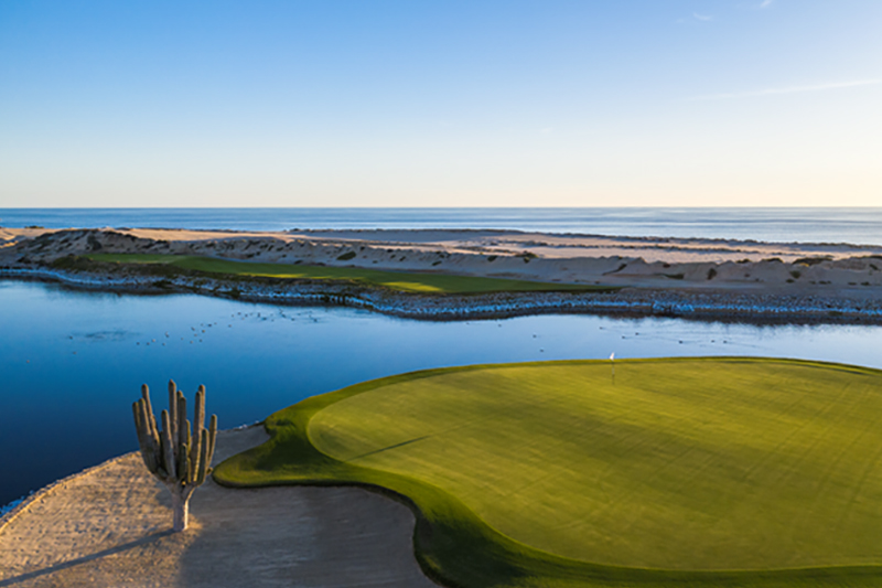 Estrenan campo de golf diseñado por Greg Norman en Los Cabos - Golf