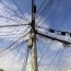 Impulsan Senadores retiro de cables en desuso en las ciudades