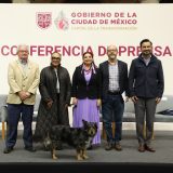 La Ley de Rentas Justas plantea limitar los aumentos de renta a la inflación, y prevenir desalojos violentos en la CDMX