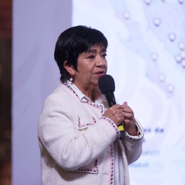 Meta anual del PVB registra avance del 90%: Sedatu