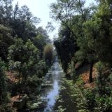 Parque Canal Nacional se convierte en Bosque Urbano