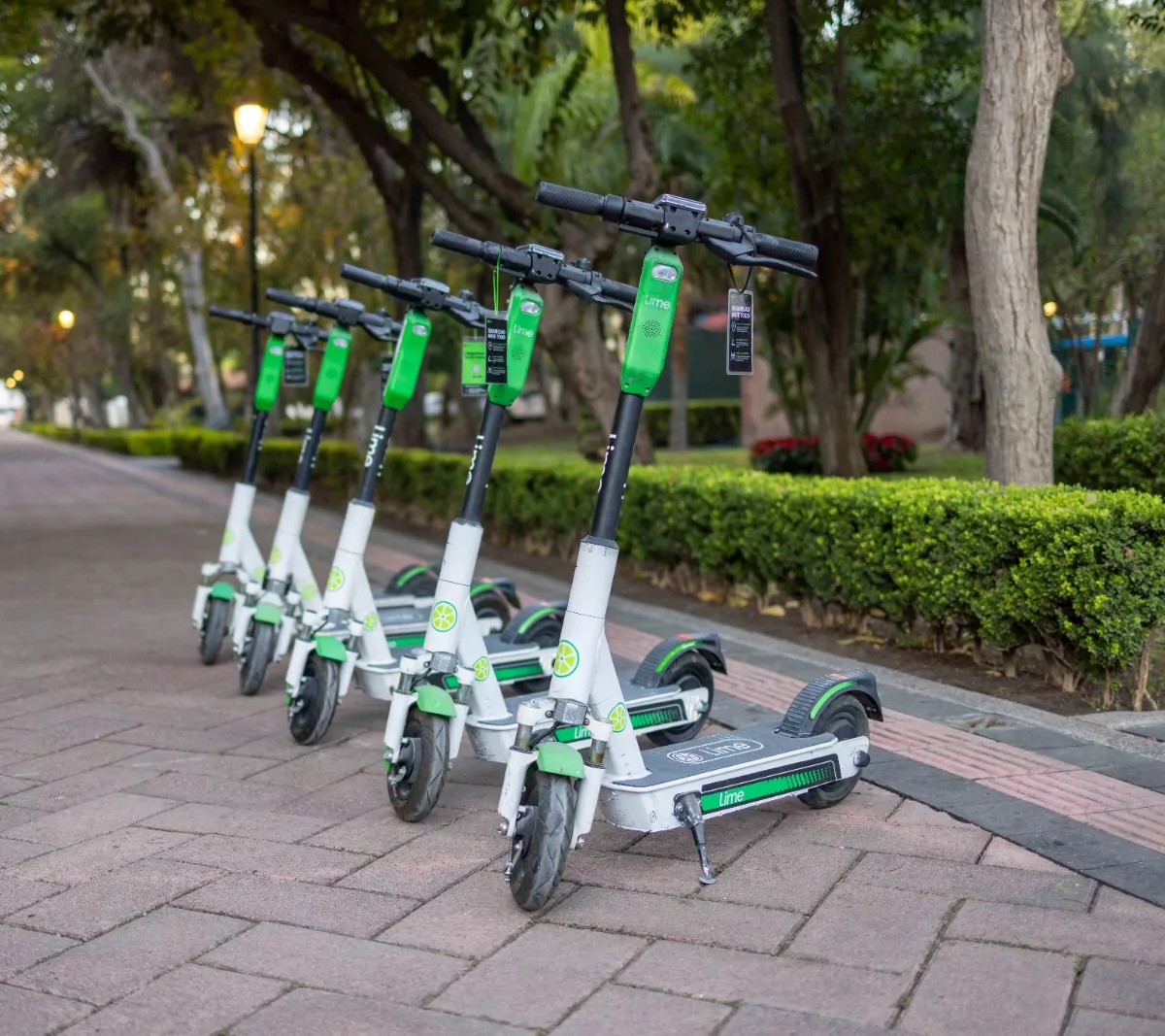 Querétaro integra scooters eléctricos a sus sistemas de transporte