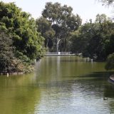 Sedema trabaja en el saneamiento de los lagos del Bosque de Chapultepec