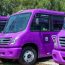 Semovi va por la sustitución de 178 microbuses en Corredor Legaria