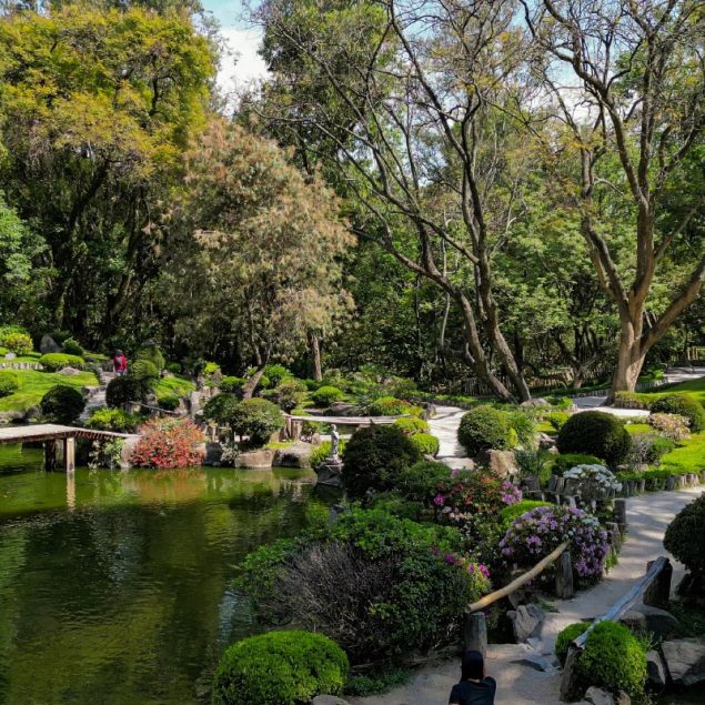 Vivir cerca de un parque en Gdl cuesta hasta 71,000 pesos el m²