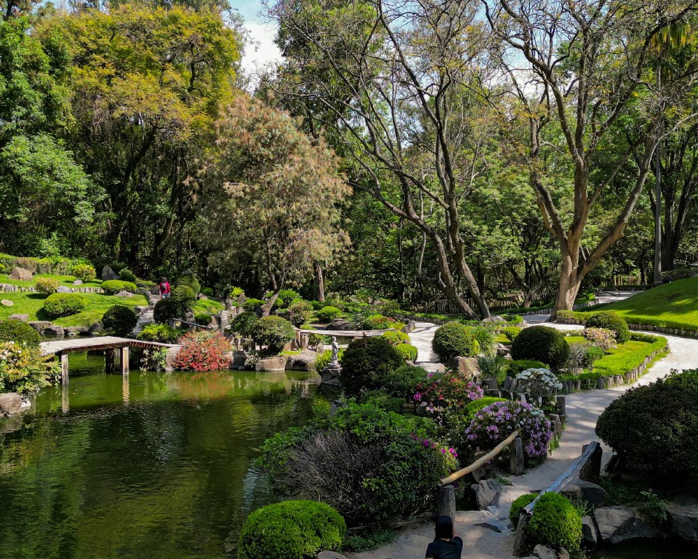 Vivir cerca de un parque en Gdl cuesta hasta 71,000 pesos el m²