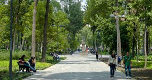 ONU-Hábitat enumera beneficios de árboles en zonas urbanas - alameda inspiro central park