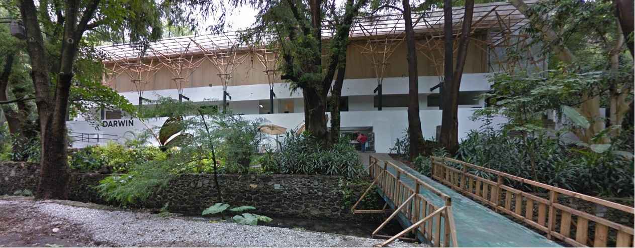 Rehabilitarán el Centro Cultural El Amate en Morelos - centro cultural el amate