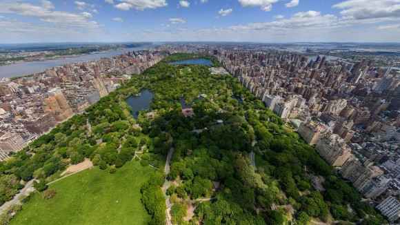 Plantan un millón de árboles en espacios públicos en NY - ciudad 100 20120509 1577989428 e1455901677895