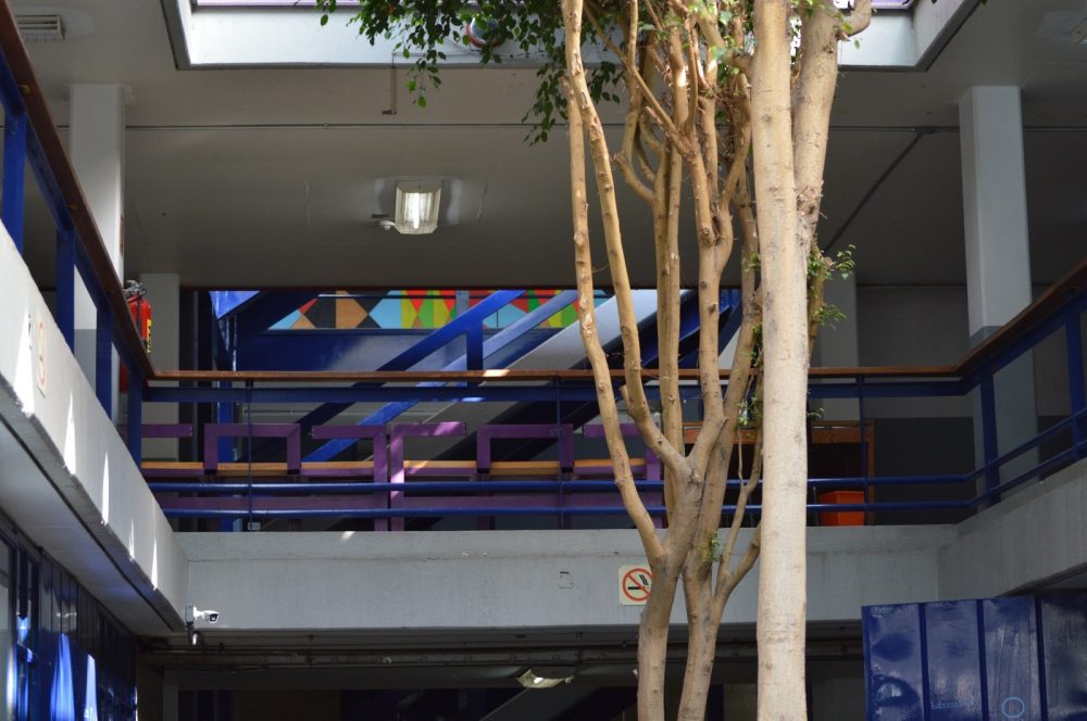 Escuela de DiseƱo del INBAL celebra su 62 aniversario - - Centro Urbano