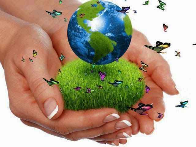 26 enero: Día Mundial de la Educación Ambiental - medio ambiente