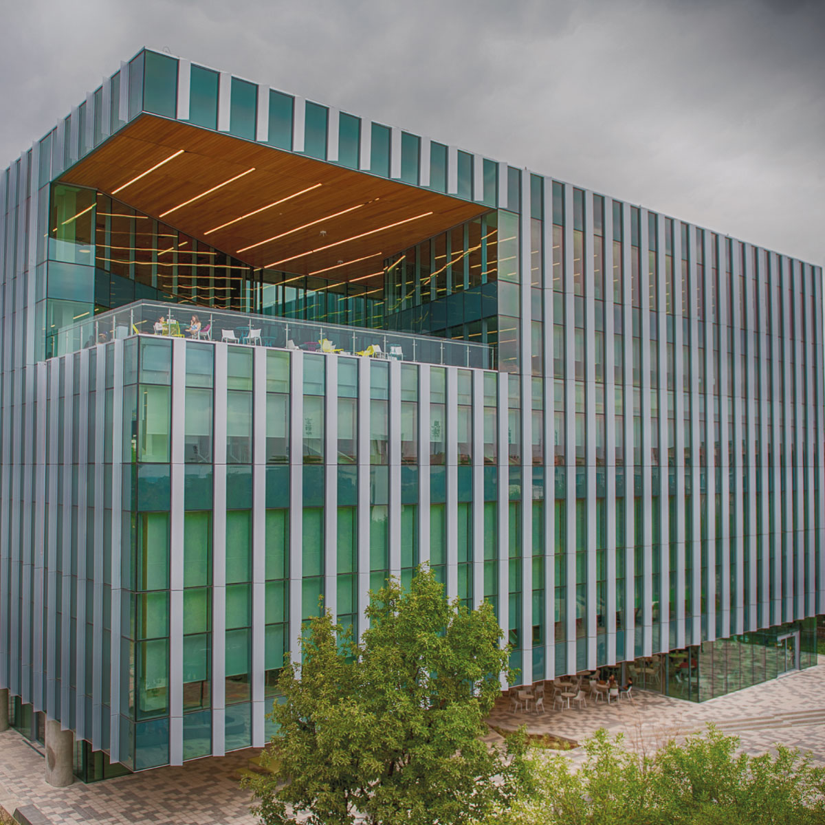 Expone UNAM tendencias de la arquitectura de bibliotecas