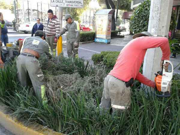 Rehabilitan espacios públicos en Benito Juárez - notabj