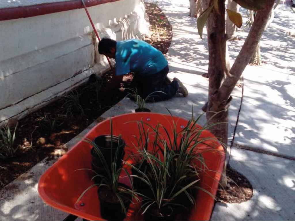 Dan mantenimiento a parques en Oaxaca