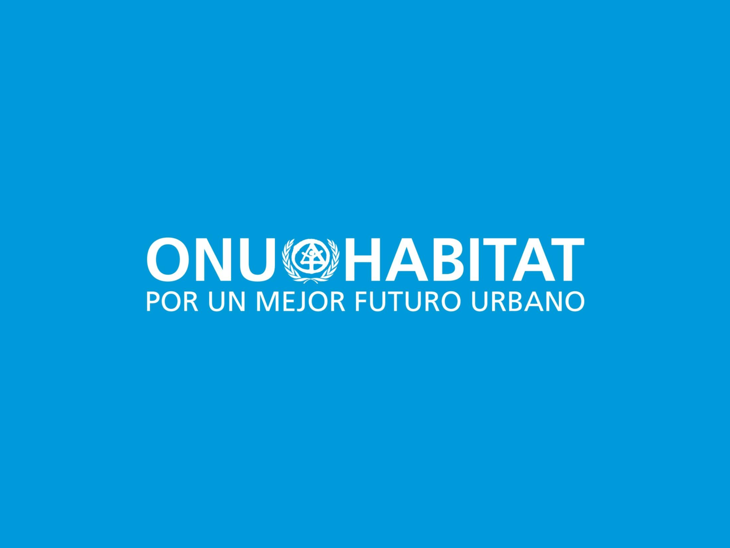 ONU-Hábitat apoyará al Cluster de vivienda en Guanajuato - onu habitat