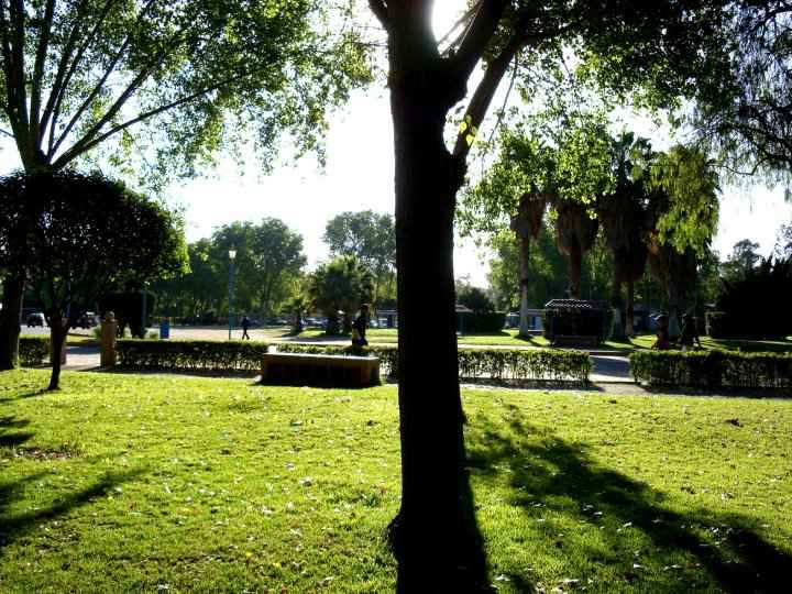 Dan mantenimiento a parques en San Luis Potosí
