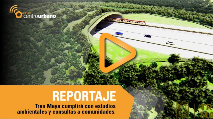 ▶️VIDEO | Tren Maya cumplirá con estudios de impacto ambiental