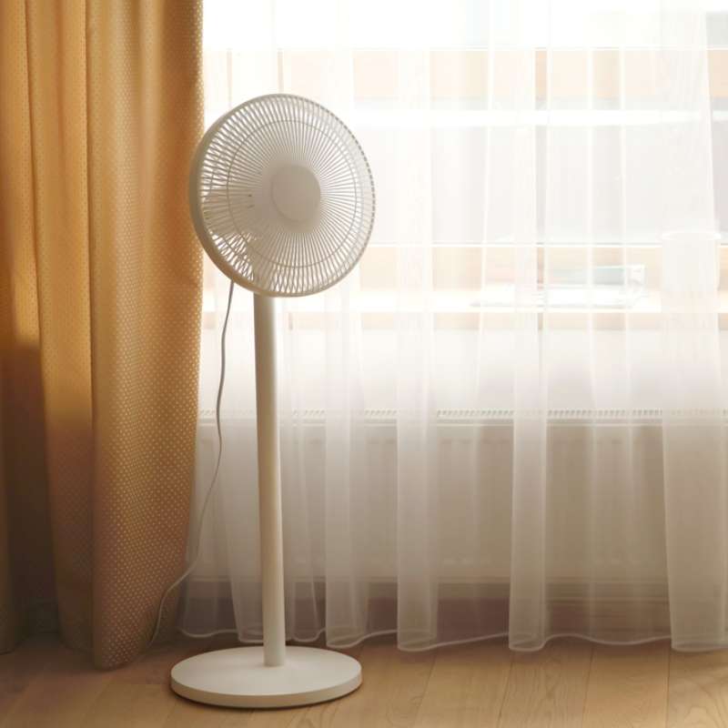 Guía para elegir los ventiladores perfectos en Elizondo